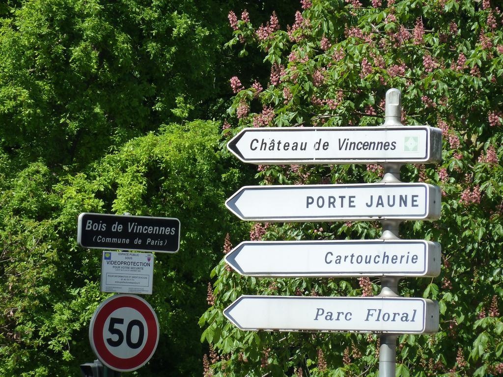 Studios Albri Nogent-sur-Seine Cameră foto
